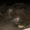 DPW1stflr146