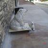 DPW4thflr27