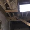 DPW5thflr24