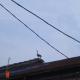 7005e48f6574da3808b888d3d75ae05a88c56546.Picture 036_80_cw80_ch80_thumb