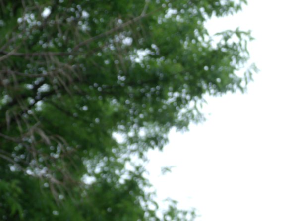 GEDSC DIGITAL CAMERA