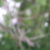 GEDSC DIGITAL CAMERA