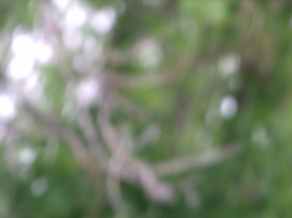 GEDSC DIGITAL CAMERA