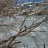 NatureDPW13