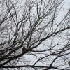 NatureDPW17