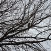 NatureDPW18