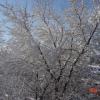 NatureDPW22