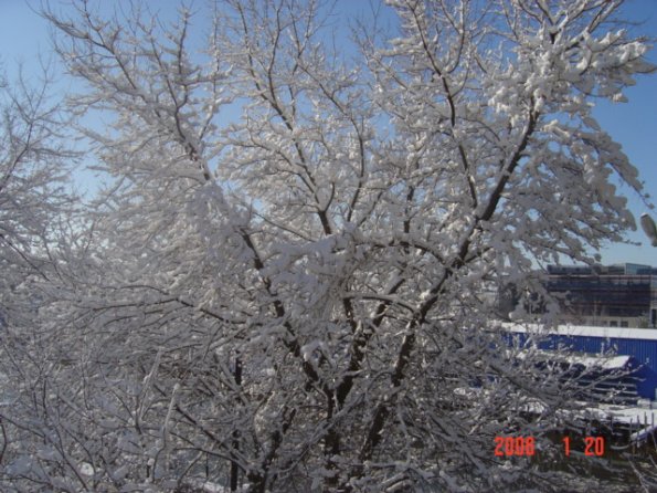 NatureDPW22